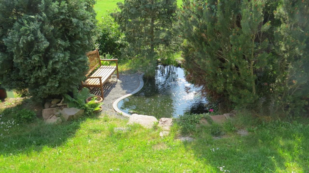 Ferienhaus Elbsommer Am Weinberg II Meißen Εξωτερικό φωτογραφία