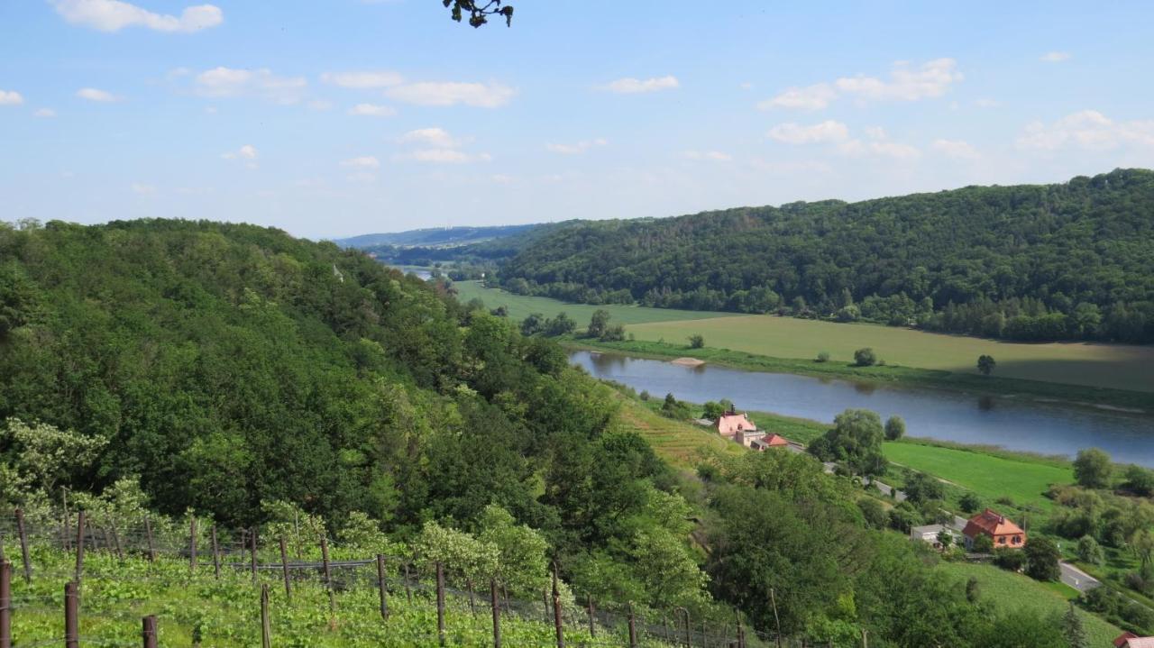 Ferienhaus Elbsommer Am Weinberg II Meißen Εξωτερικό φωτογραφία